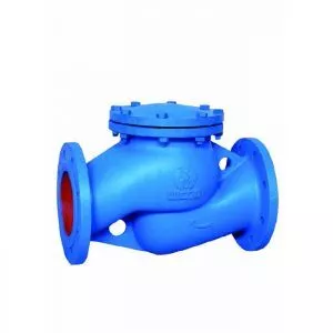 PN 16 Cast and Ductile Iron Check Valve (Lift Type)