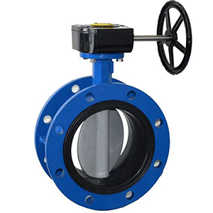 Flanged type butterfly valve