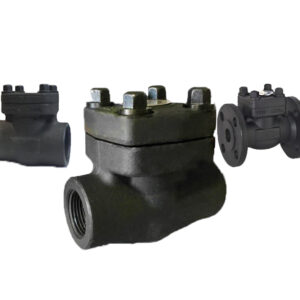 Check Valves SW/Threaded/Flanged